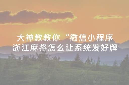 大神教教你“微信小程序浙江麻将怎么让系统发好牌”（辅助器通用版)