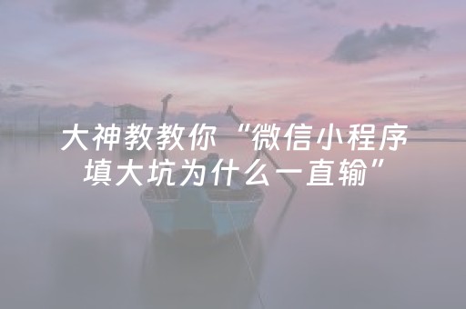 大神教教你“微信小程序填大坑为什么一直输”（透明挂辅助器)