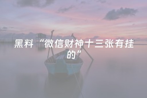 黑料“微信财神十三张有挂的”（插件可信吗)