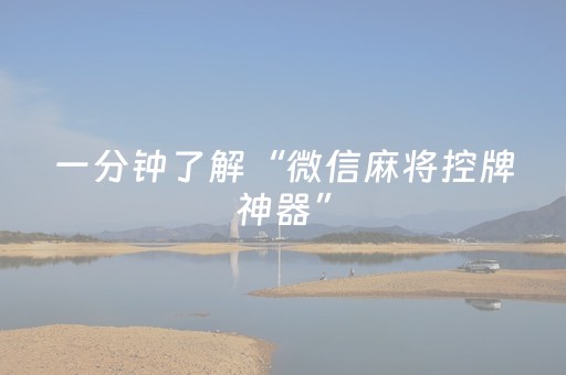 一分钟了解“微信麻将控牌神器”（胜率到哪调)