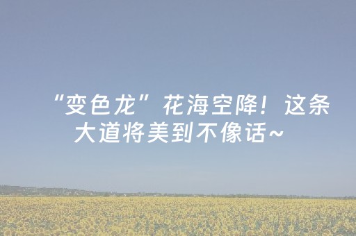 玩家必看科普“手机跑得快怎么让系统给你发好牌”（辅助器下载)