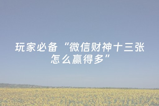 玩家必备“微信财神十三张怎么赢得多”（辅助器下载)