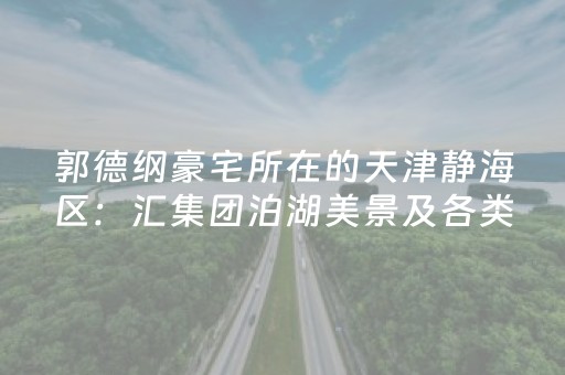 黑料“微信小程序广东麻将辅助器插件”（插件开挂免费AI)
