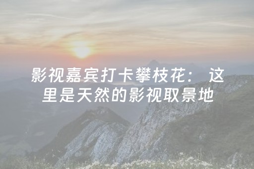 三分钟了解“微小程序麻将胡牌神器”（可以设置输赢吗)