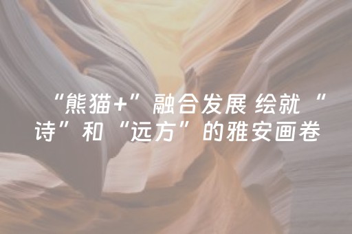 “熊猫+”融合发展 绘就“诗”和“远方”的雅安画卷