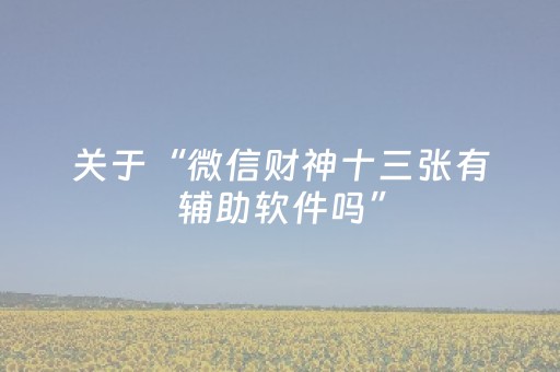 关于“微信财神十三张有辅助软件吗”（攻略插件)
