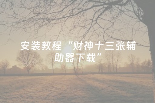 安装教程“财神十三张辅助器下载”（辅助软件)