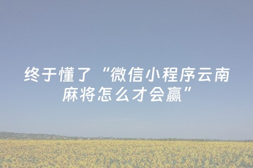 终于懂了“微信小程序云南麻将怎么才会赢”（必赢神器)