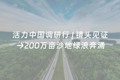 玩家必看“财神十三张特殊牌开挂”（外辅工具)