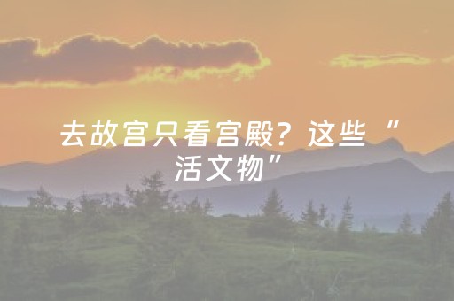 大神教教你“微信小程序湖南麻将三打哈输赢规律”（究竟是不是有挂)