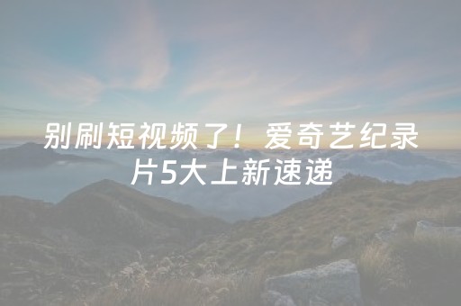 介绍十款“雀神广东麻将的规律”（辅牌器插件购买)