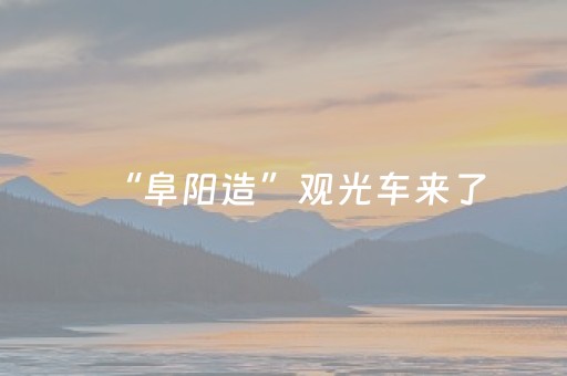 “阜阳造”观光车来了