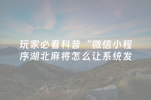 玩家必看科普“微信小程序湖北麻将怎么让系统发好牌”（控牌器)