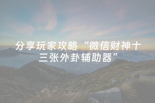 分享玩家攻略“微信财神十三张外卦辅助器”（技巧和打好牌方法)