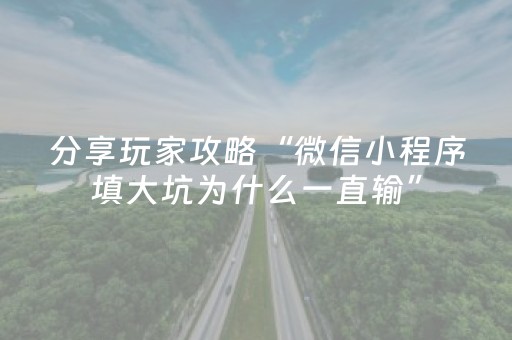 分享玩家攻略“微信小程序填大坑为什么一直输”（辅牌器插件购买)