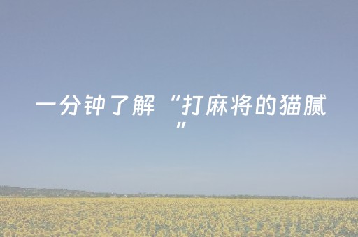 一分钟了解“打麻将的猫腻”（透明挂辅助器)