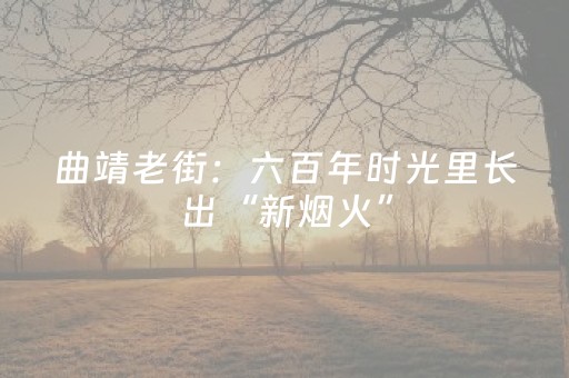 一分钟了解“雀神麻将输赢规律”（专用神器)