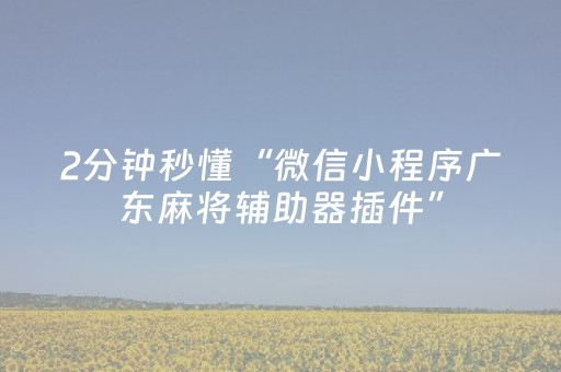 2分钟秒懂“微信小程序广东麻将辅助器插件”（会员会提高胜率吗)