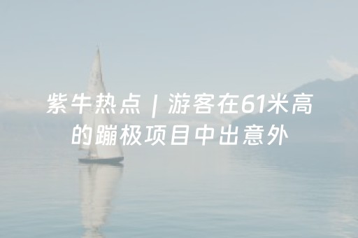 三分钟了解“微信小程序捉鸡麻将控牌器”（控牌器)