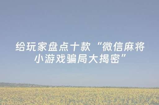 给玩家盘点十款“微信麻将小游戏骗局大揭密”（确实有插件吗)