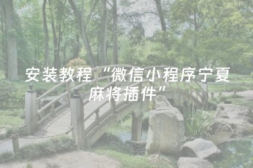 安装教程“微信小程序宁夏麻将插件”（控牌神器)
