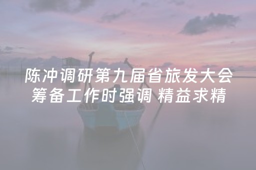 陈冲调研第九届省旅发大会筹备工作时强调 精益求精全力推进大会筹备工作