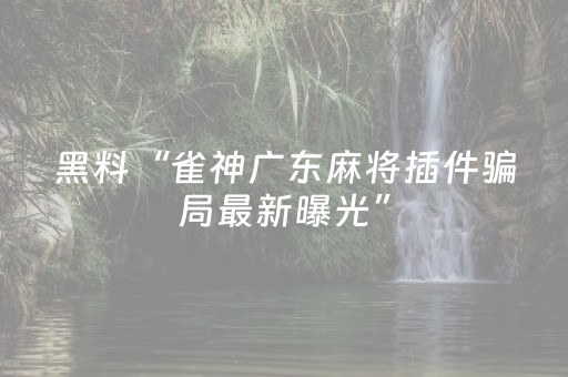 黑料“雀神广东麻将插件骗局最新曝光”（装挂怎么安装)