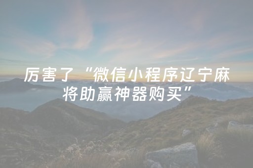 厉害了“微信小程序辽宁麻将助赢神器购买”（必赢神器)