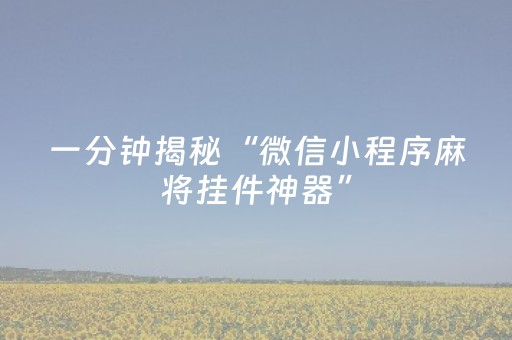 一分钟揭秘“微信小程序麻将挂件神器”（透明器教程)