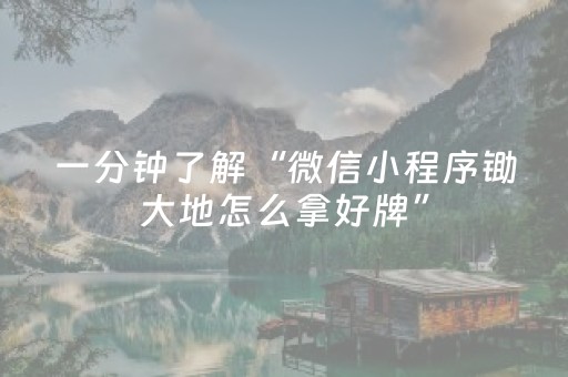 一分钟了解“微信小程序锄大地怎么拿好牌”（自建房怎么赢)