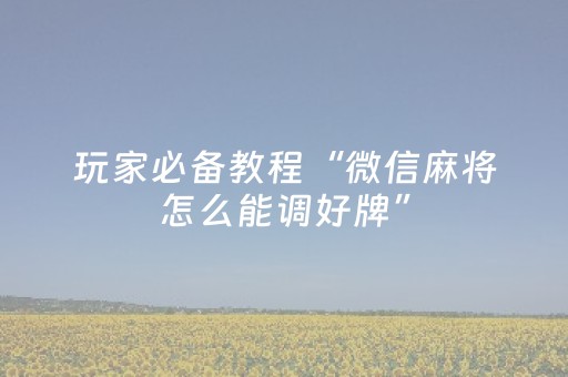 玩家必备教程“微信麻将怎么能调好牌”（开挂辅助脚本)