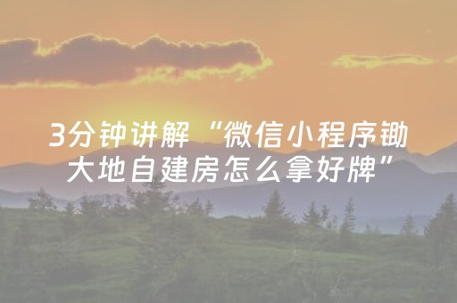 3分钟讲解“微信小程序锄大地自建房怎么拿好牌”（怎么调胜率)