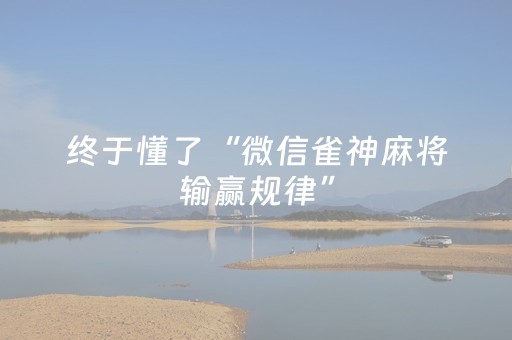 终于懂了“微信雀神麻将输赢规律”（软件出售)