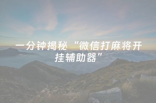 一分钟揭秘“微信打麻将开挂辅助器”（攻略插件)