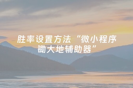 胜率设置方法“微小程序锄大地辅助器”（辅助软件)