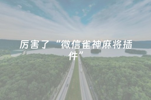 安装教程“微信财神十三张外卦辅助器”（有什么诀窍)