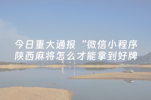 今日重大通报“微信小程序陕西麻将怎么才能拿到好牌”（万能开挂神器)
