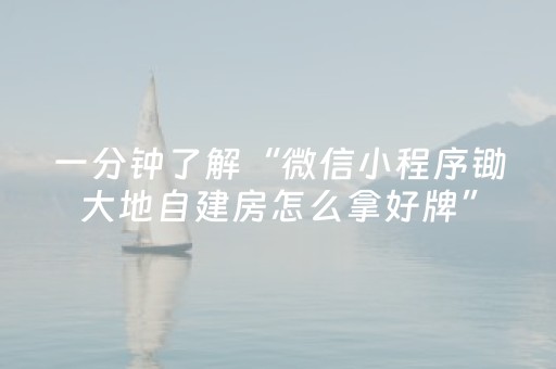 一分钟了解“微信小程序锄大地自建房怎么拿好牌”（必赢神器辅助器)