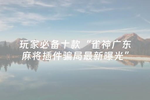 玩家必备十款“雀神广东麻将插件骗局最新曝光”（如何让系统发好牌)