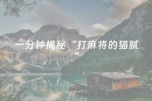 一分钟揭秘“打麻将的猫腻”（辅助器插件)