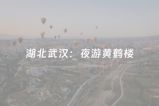 2分钟秒懂“微信小程序陕西挖坑助赢神器”（提高胜率软件)