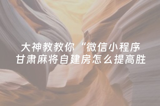 大神教教你“微信小程序甘肃麻将自建房怎么提高胜率”（助赢神器)