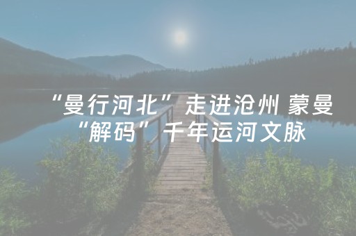 “曼行河北”走进沧州 蒙曼“解码”千年运河文脉