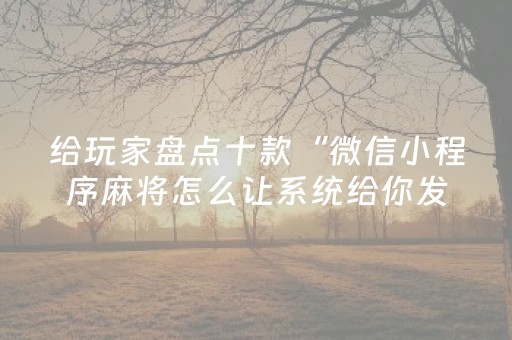 给玩家盘点十款“微信小程序麻将怎么让系统给你发好牌”（确实有插件吗)