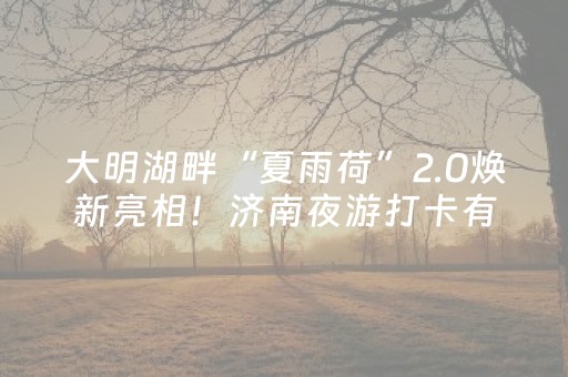 大明湖畔“夏雨荷”2.0焕新亮相！济南夜游打卡有了新地标
