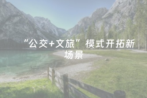 “公交+文旅”模式开拓新场景