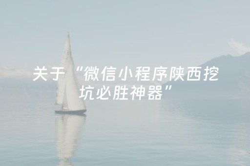 关于“微信小程序陕西挖坑必胜神器”（外辅工具)