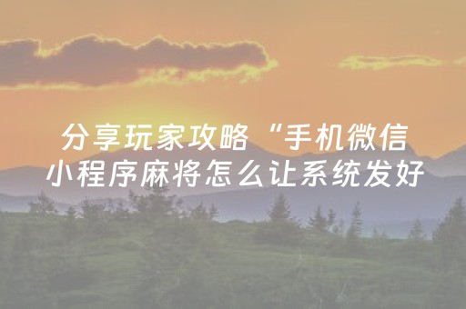 分享玩家攻略“手机微信小程序麻将怎么让系统发好牌”（挂件神器)