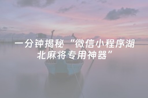 一分钟揭秘“微信小程序湖北麻将专用神器”（辅助器插件)