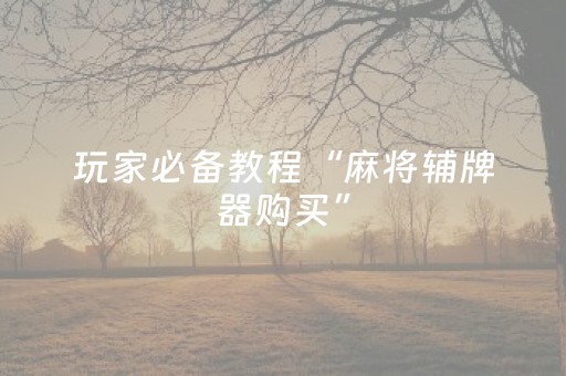 玩家必备教程“麻将辅牌器购买”（必赢神器)
